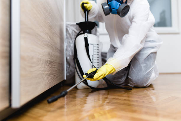 Best Flea Control Services  in Oaklyn, NJ