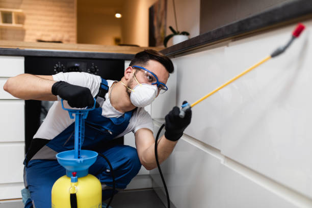 Best Termite Control Services  in Oaklyn, NJ