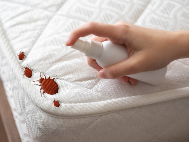 Best Best Pest Control Companies  in Oaklyn, NJ